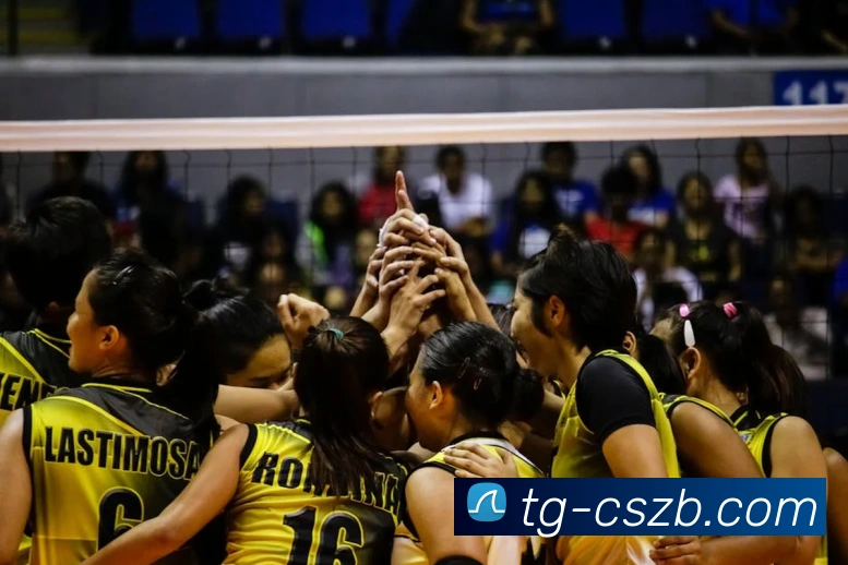 彩神争霸APP 封面图